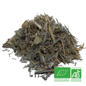 Citronnelle bio - feuille