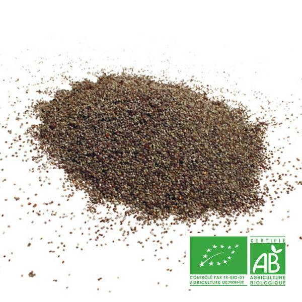 Pavot bleu bio – graine